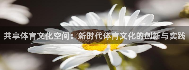 3377体育是什么