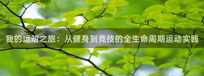 3377体育app官网下载最新版本2023年