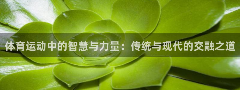 3377体育犯法吗