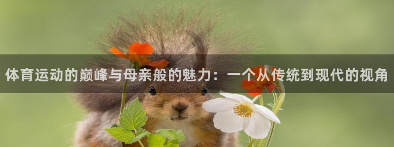 3377体育不出款：体育运动的巅峰与