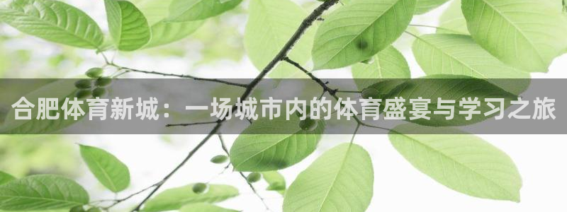 3377体育骗了多少人：合肥体育新城