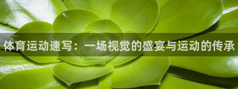3377体育现在叫什么：体育运动速写