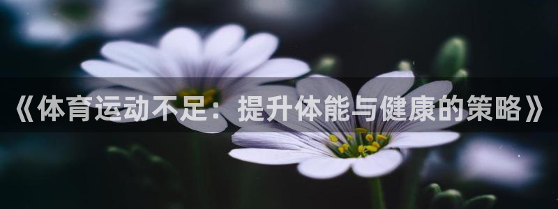 3377体育有风险吗