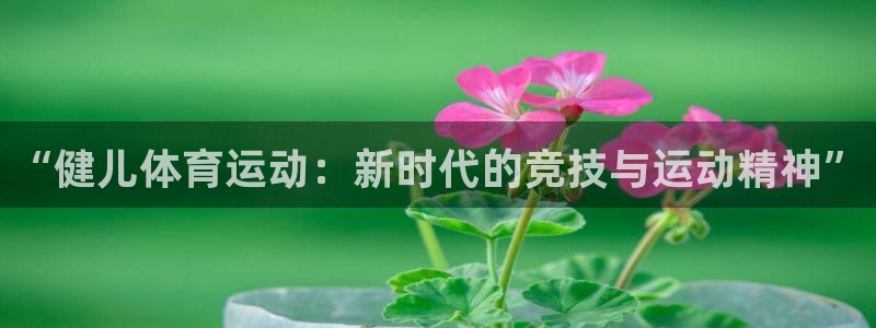 3377体育是哪的