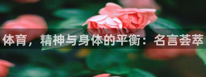 3377体育app官网下载地址：体育